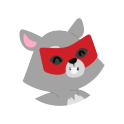 Raccoon VPN
