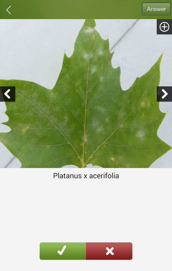 Plantifier gallery image