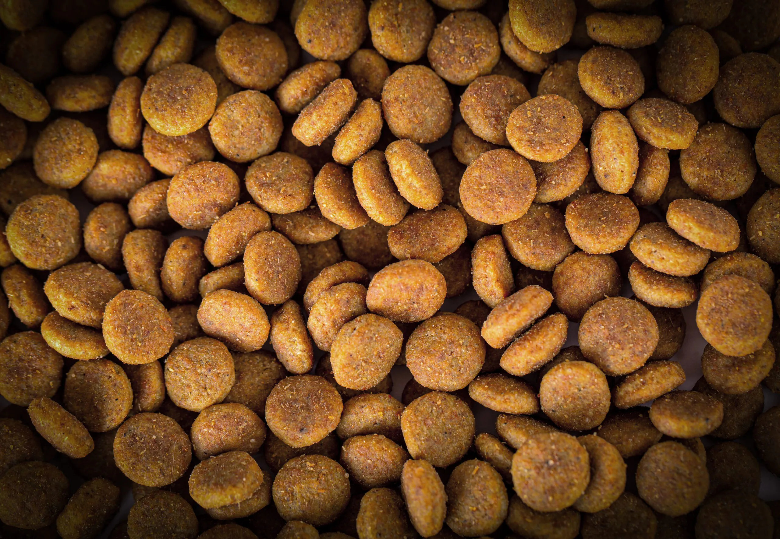 Capsule Supplement Manufacturing gallery image