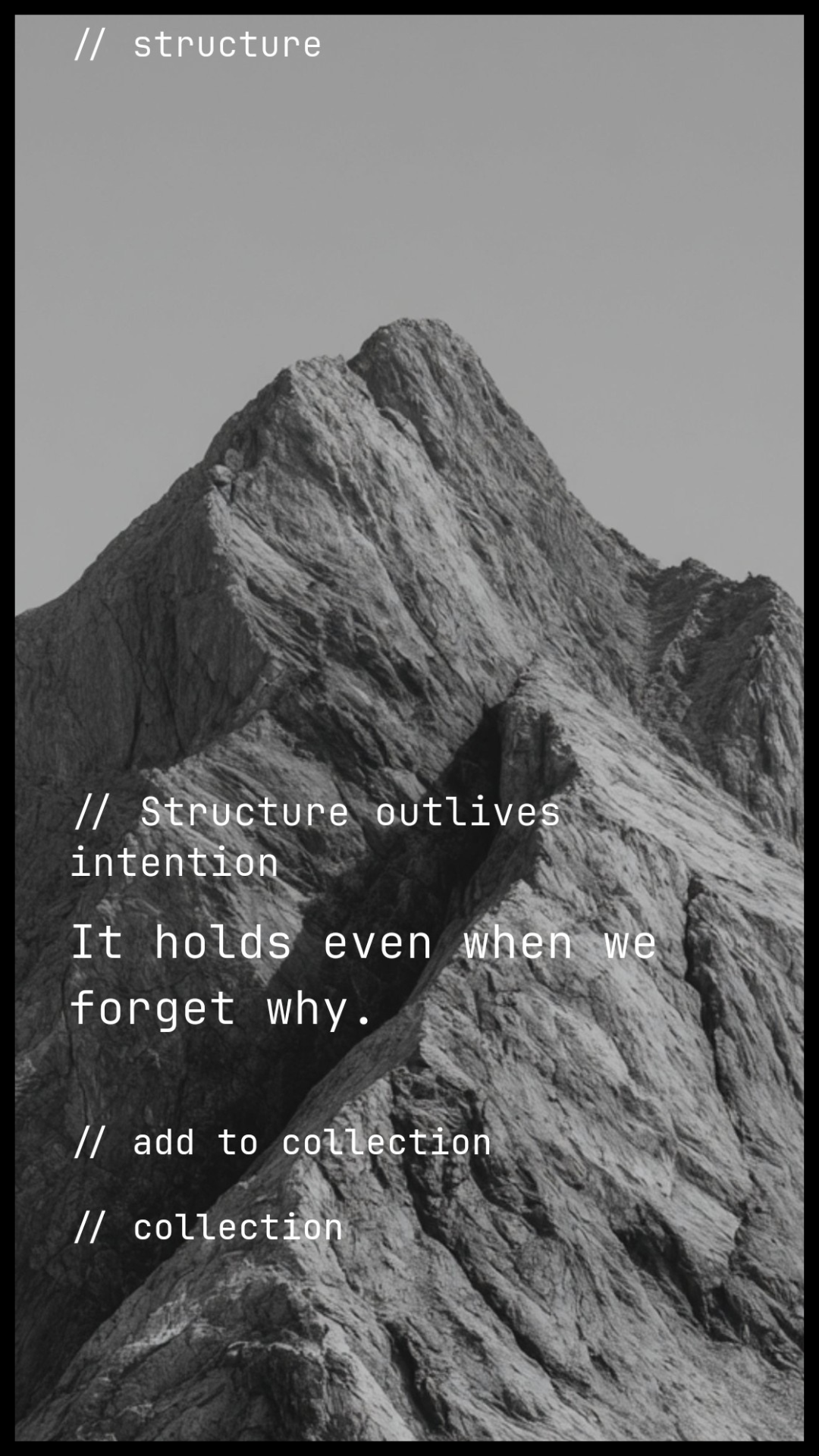 The Quiet Frame gallery image