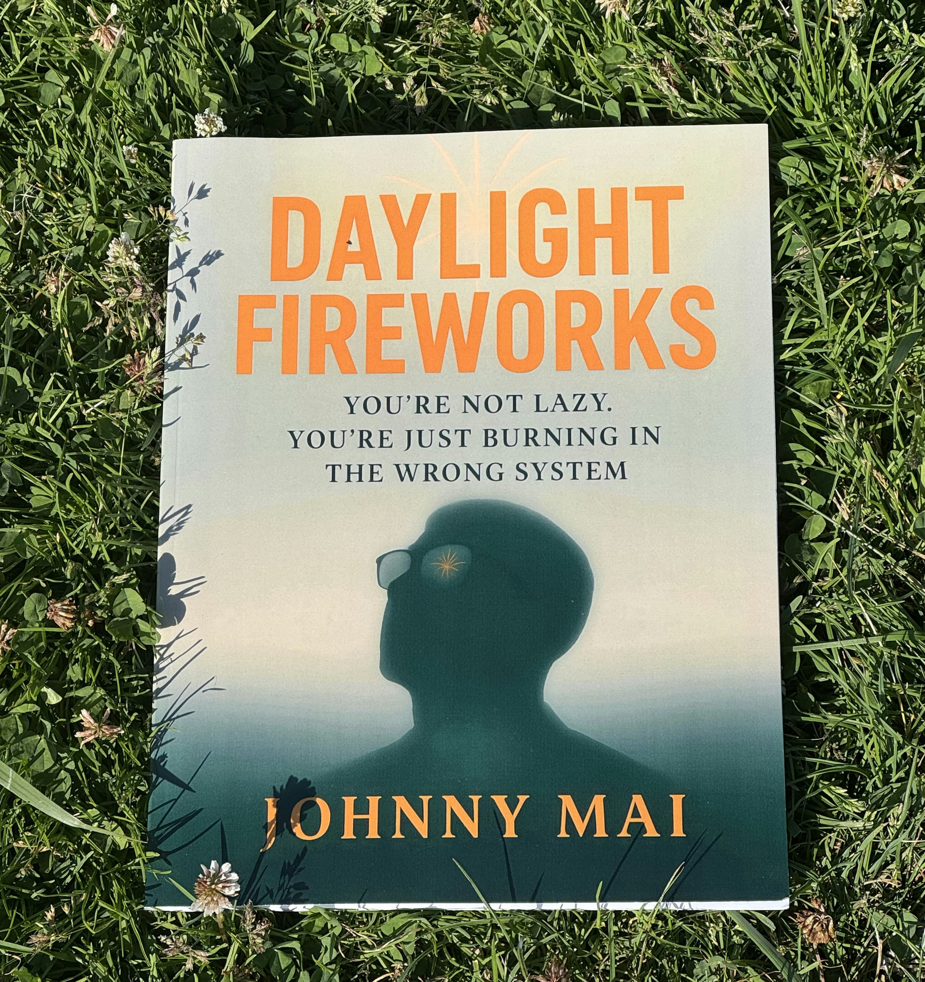 Média Feux d'artifice en lumière du jour - Livre de récupération épuise 2