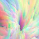 The Neural Chaos