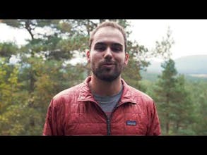 Mossy Earth gallery image