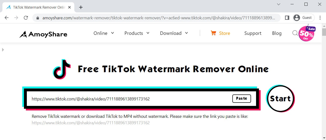 remove tiktok watermark online