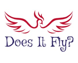 Does It Fly? (Chidiya Udd) gallery image