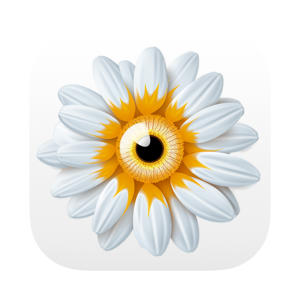 Margarida