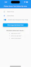 Flutter text detect area gallery image