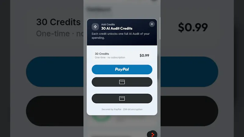 BudgetWise AI screenshot 1 (video preview)