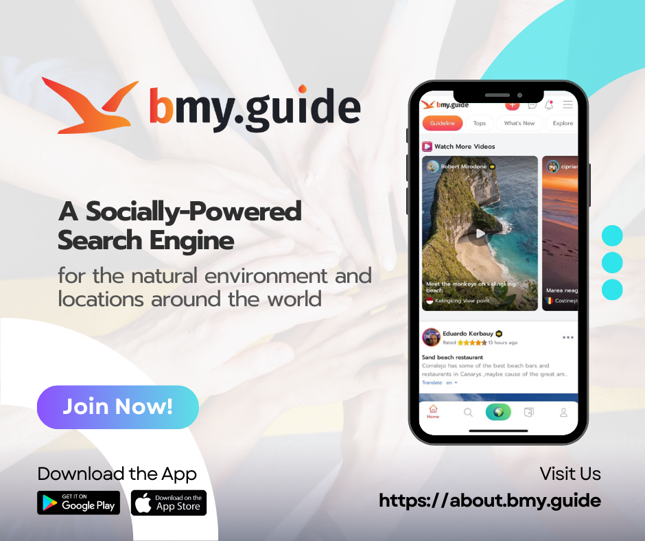 bmy.guide media 5