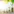 Growth Capital