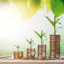 Growth Capital