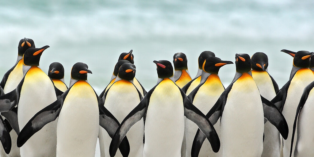 Love Nature Image