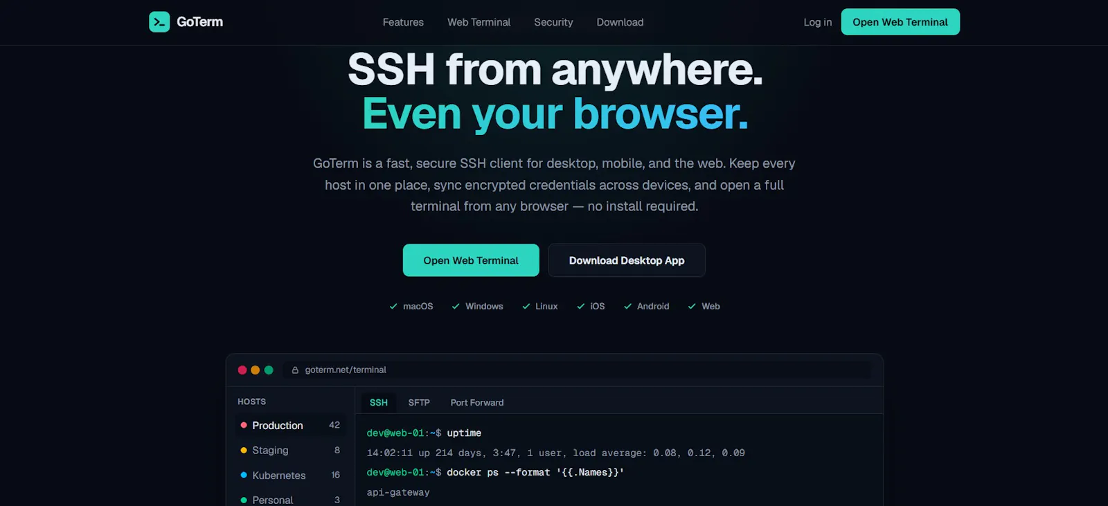 GoTerm screenshot 1