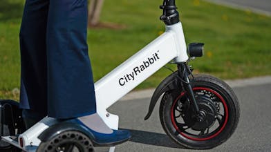 CityRabbit gallery image