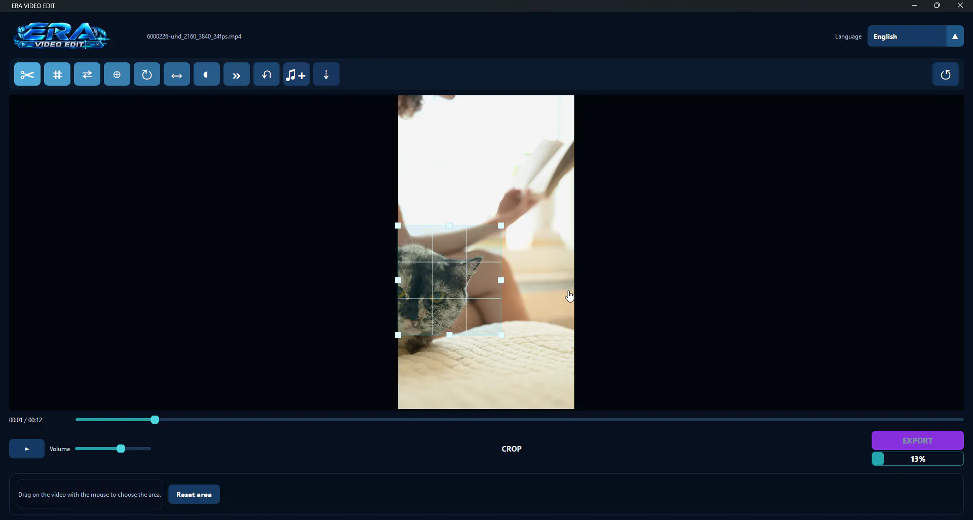 ERA VIDEO EDIT gallery image
