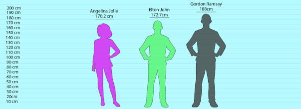 CompareHeight gallery image