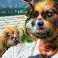 DreamscopeAPP
