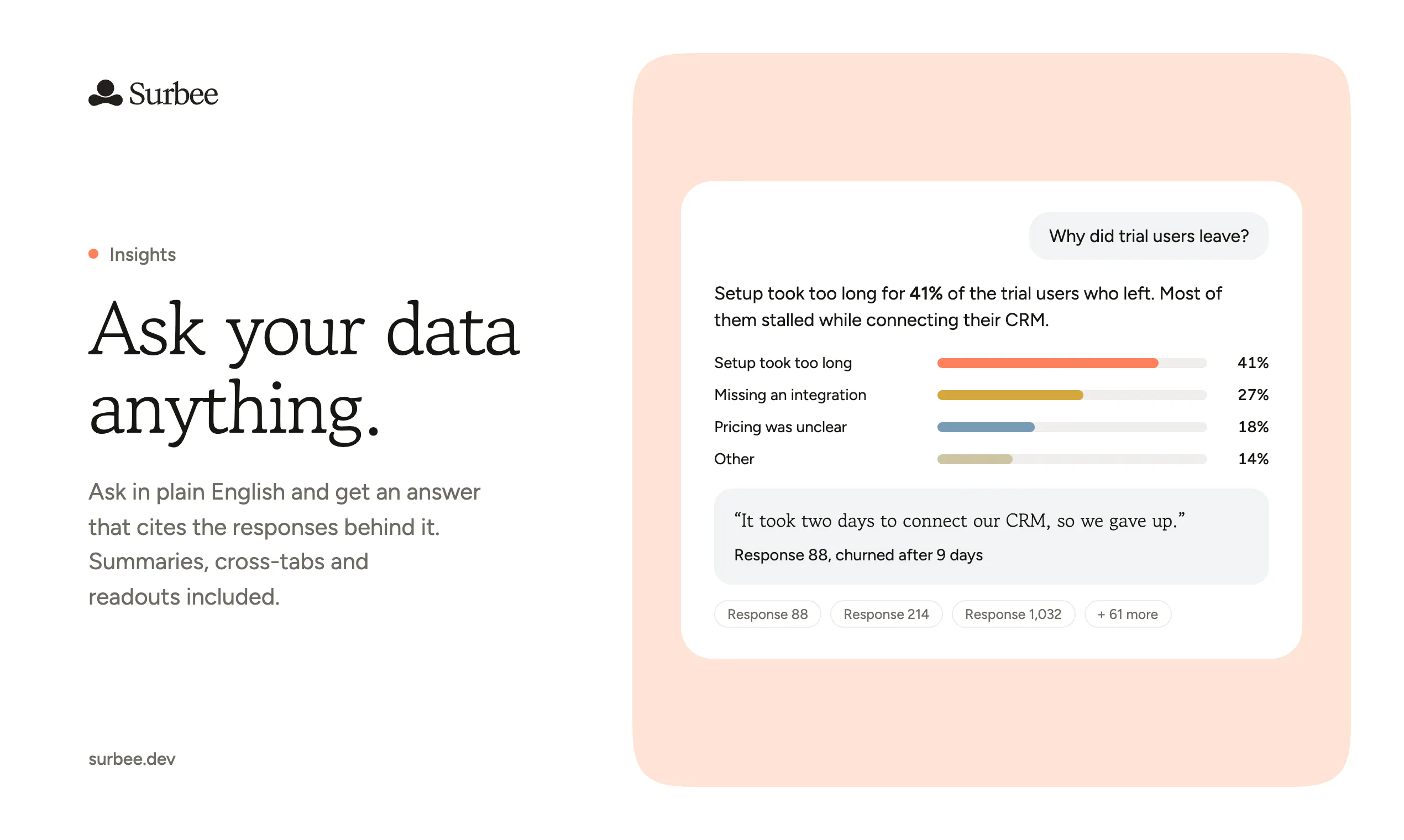 Surbee gallery image