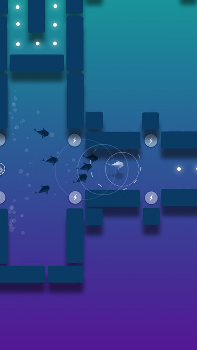 Quantum Lake gallery image