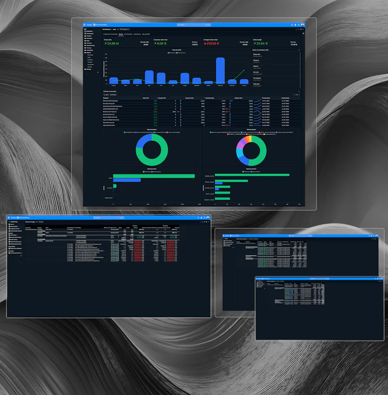 Axional ERP screenshot 2