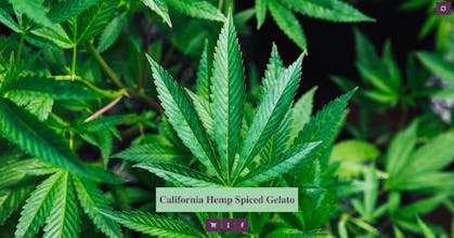 This Snack Does Not Exist gallery image