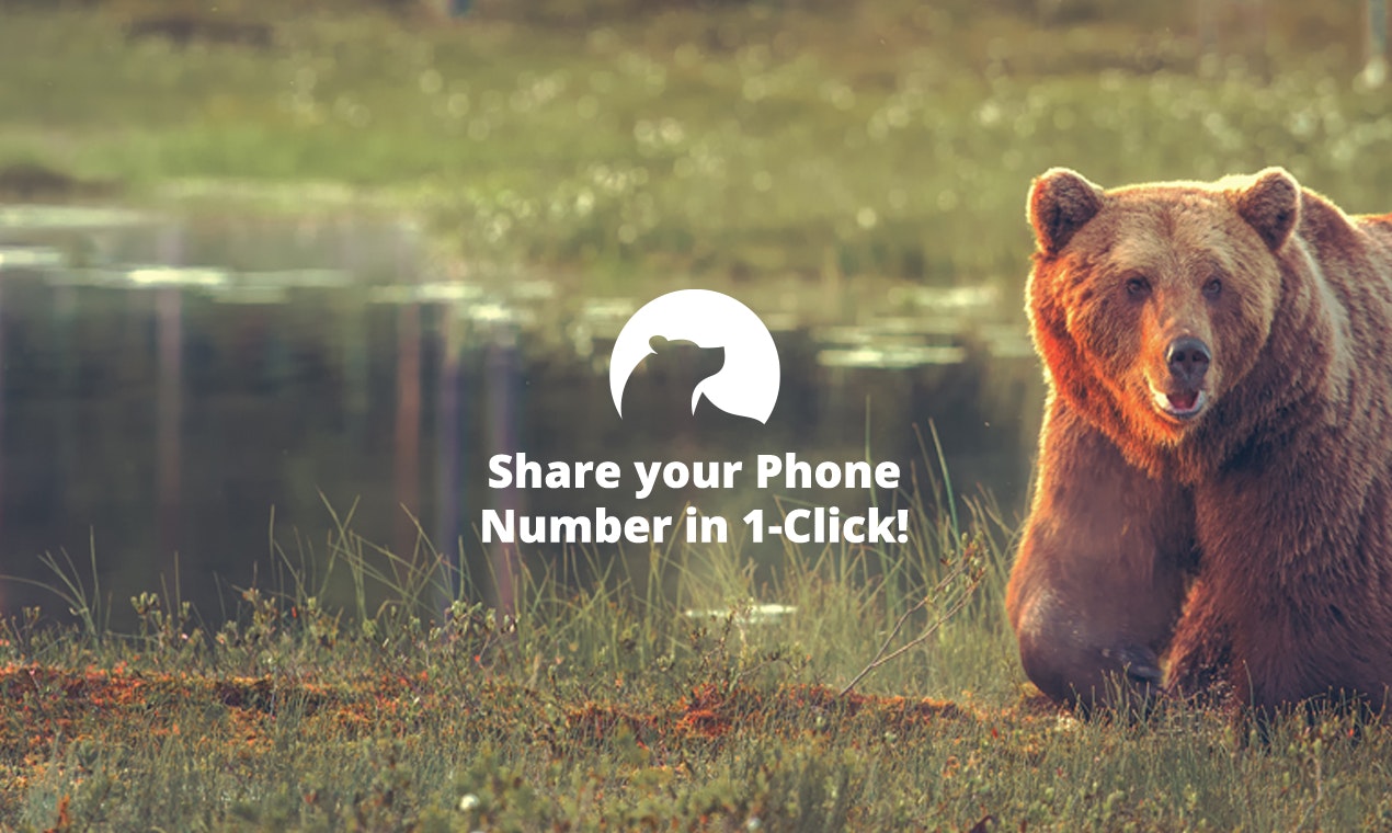 Numbear gallery image