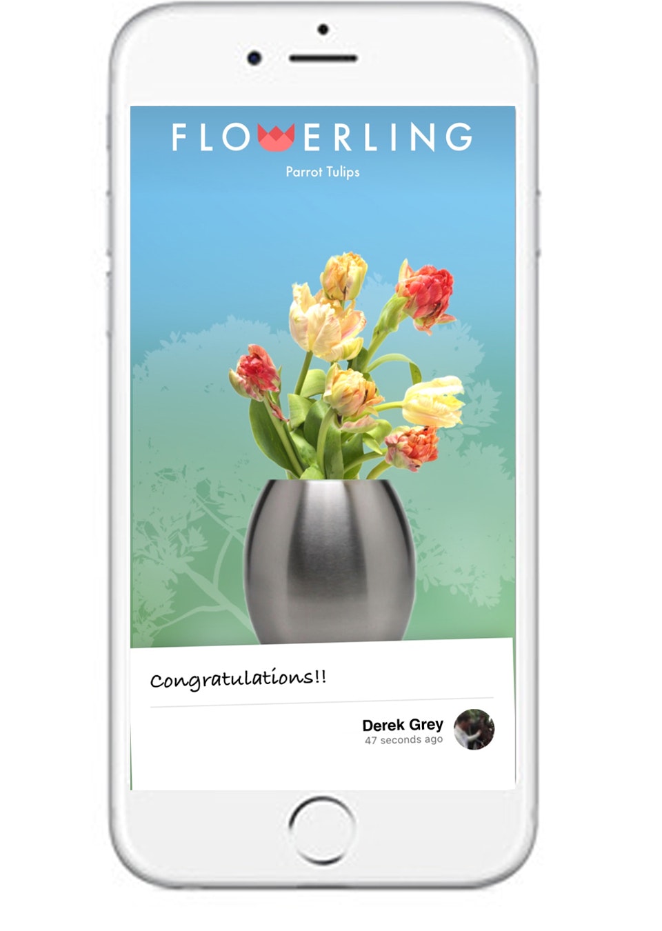 Flowerling A new way to send flowers Product Hunt