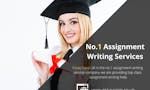 Assignment Writing Service image