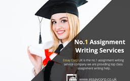Assignment Writing Service media 1