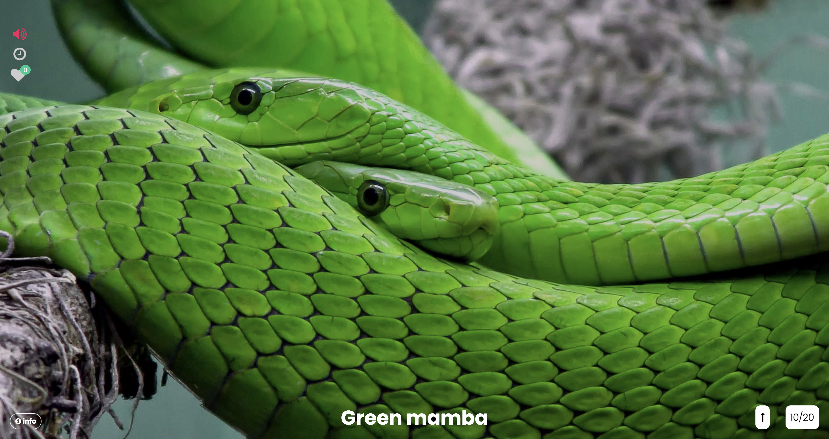 Tiny Know gallery image