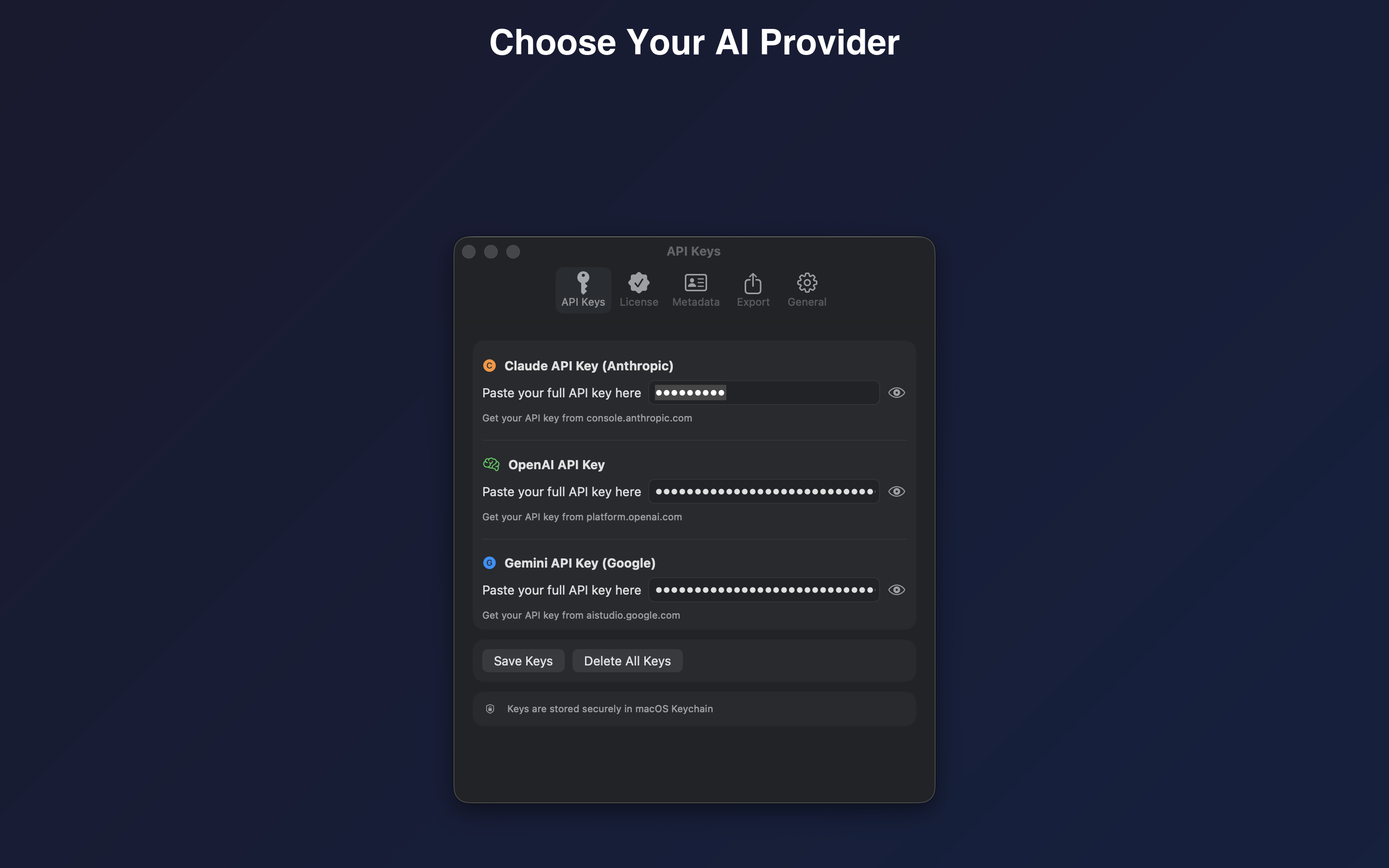 CaptionSmith gallery image