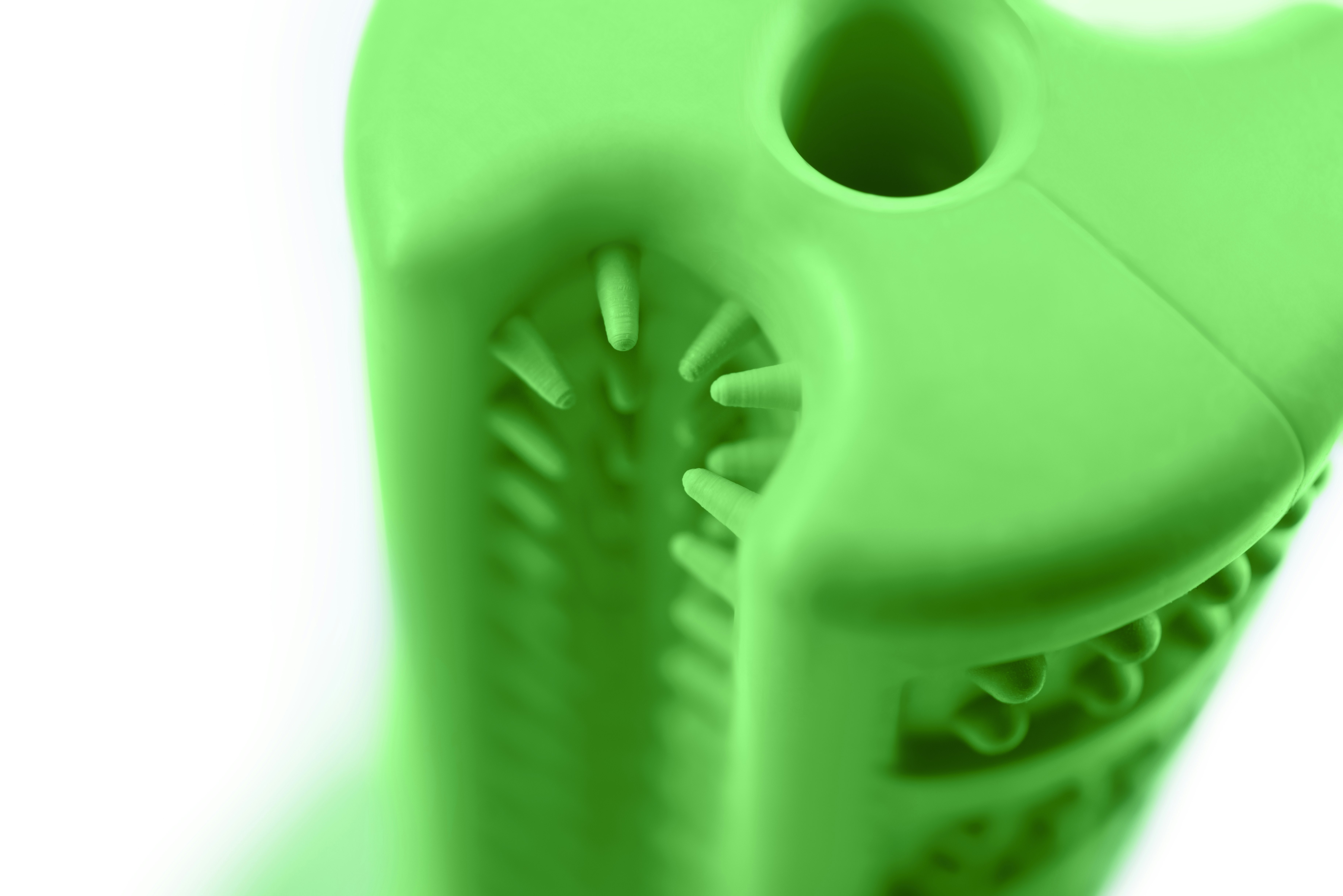 Bristly gallery image