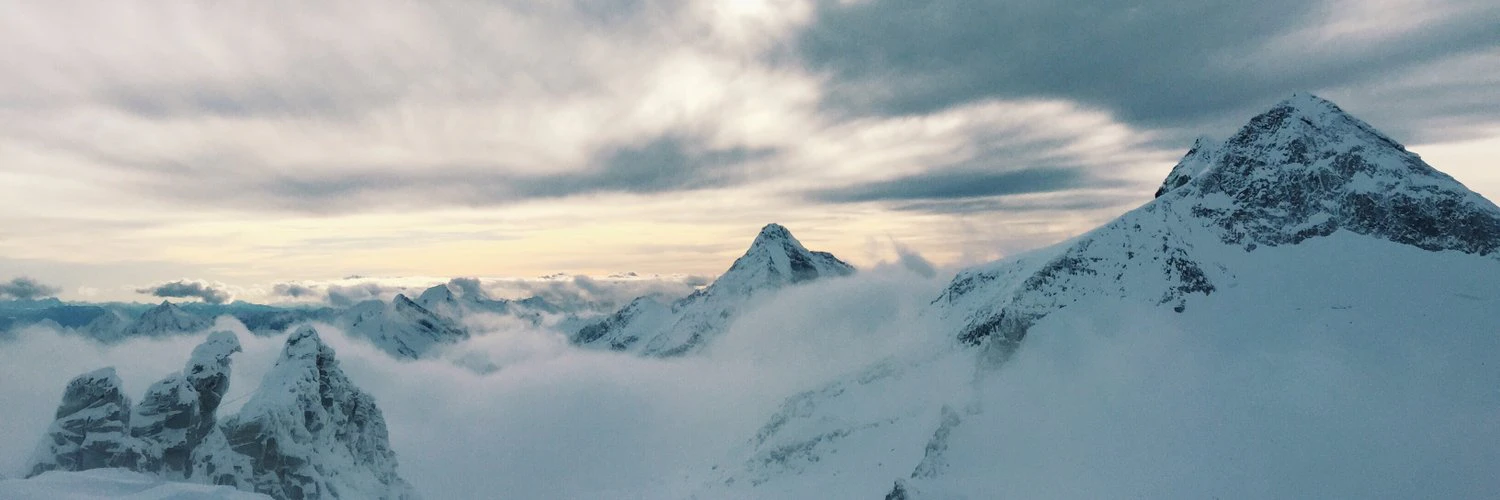 Heiko Brömmelstrote cover