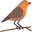 Criptognetnet
