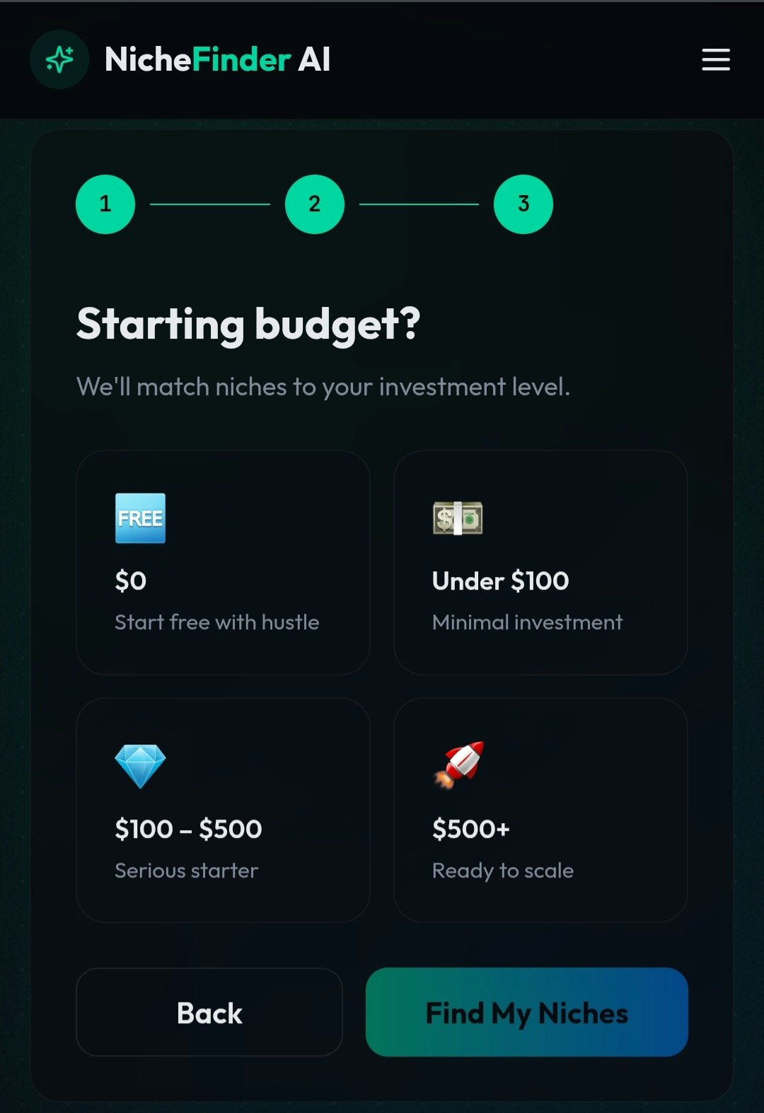 NicheFinder AI gallery image