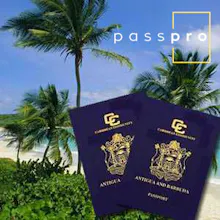 Immigration Services in Dubai gallery image