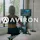 Aviron Interactive Rower