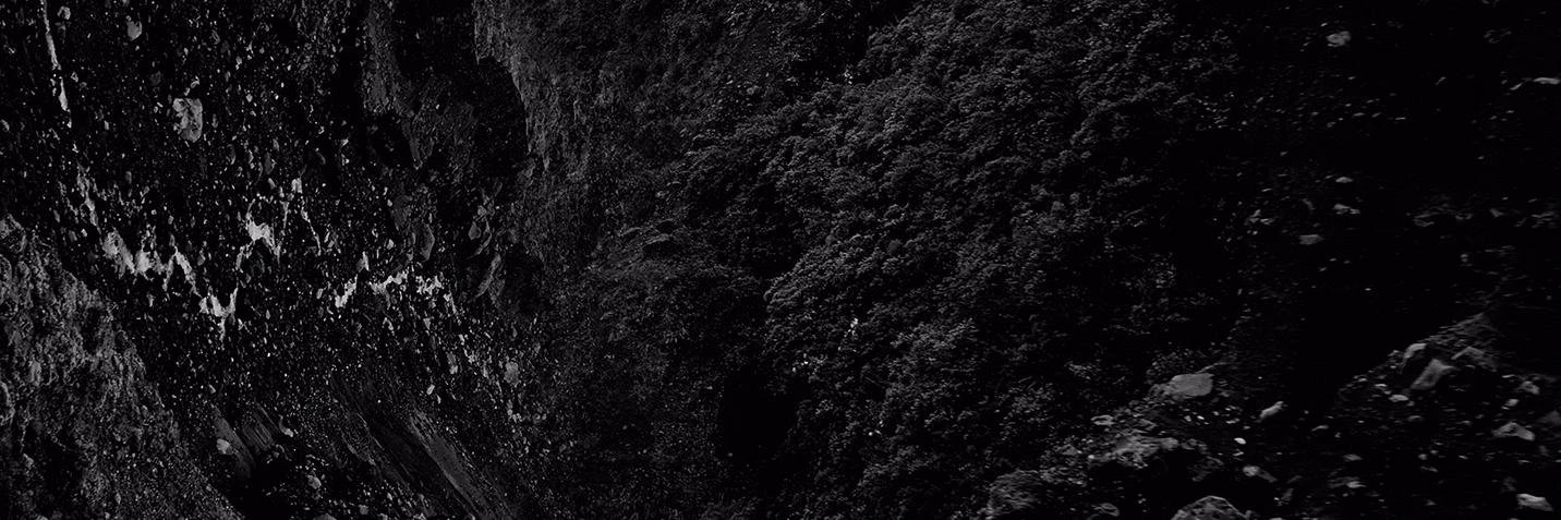 Nicola Felasquez Felaco cover