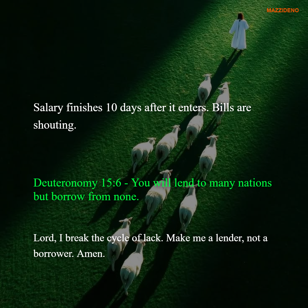 MazziGroup-PostEditor-OFFLINE gallery image