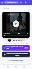 TokSaves gallery image