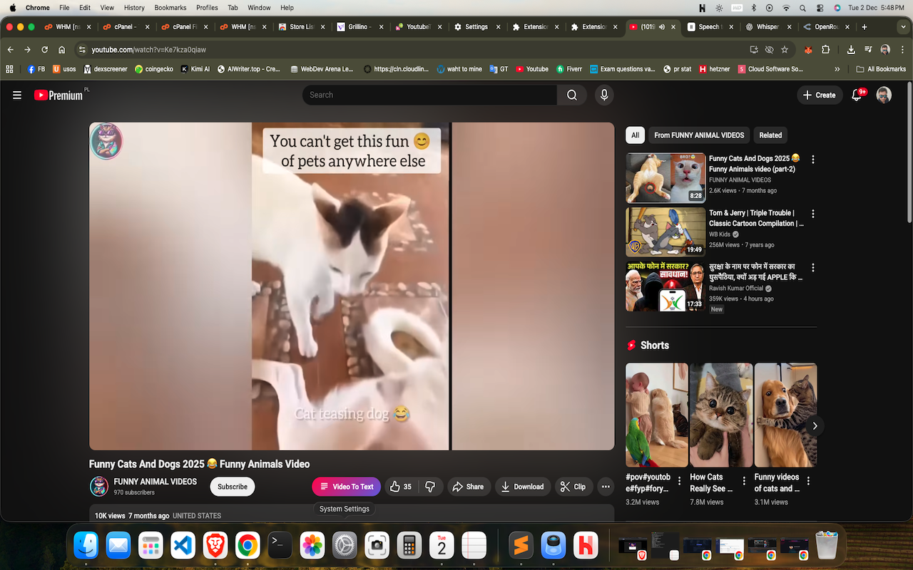 YoutubeTS gallery image