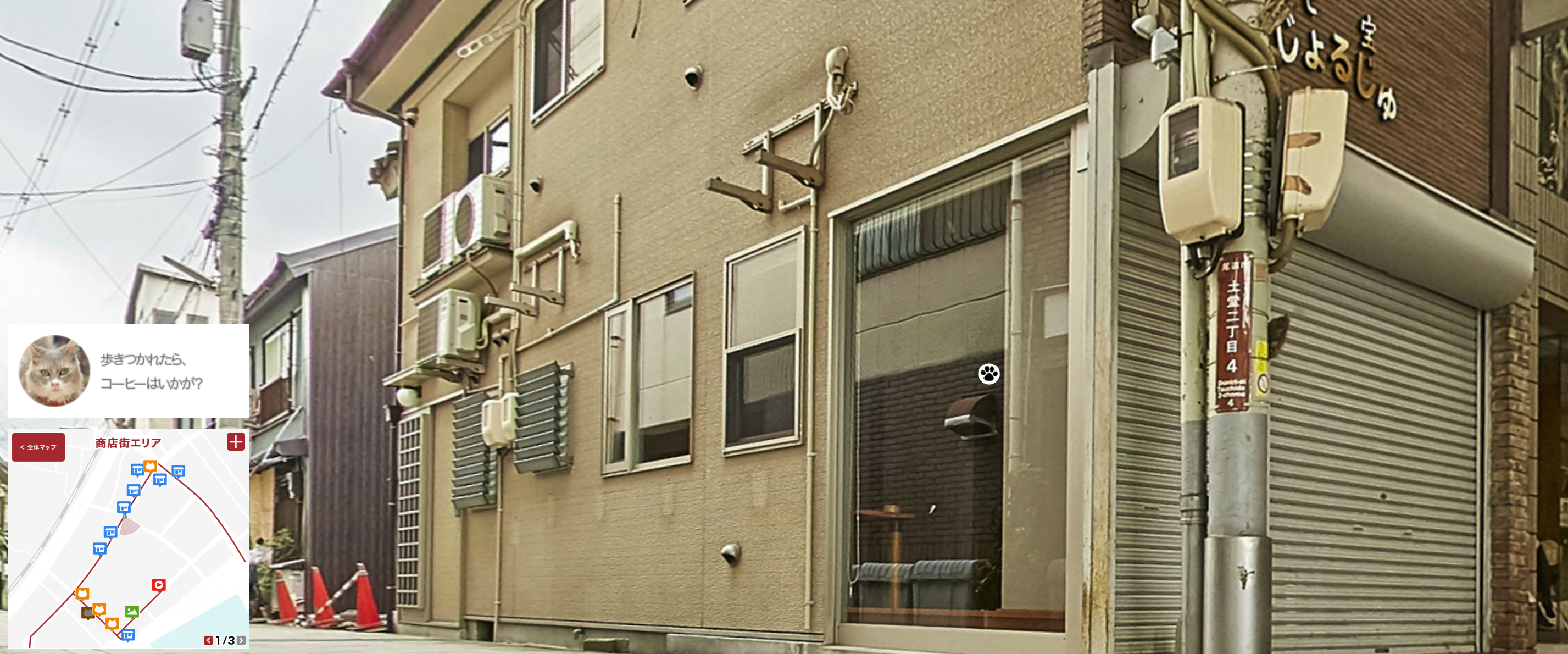Cat Street View Image