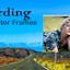 Hoarding and Photo Frames Editor -Free Image Editor
