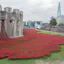 Remembrance Reminder