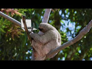 Smooth Remote gallery image