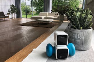 Artibo gallery image