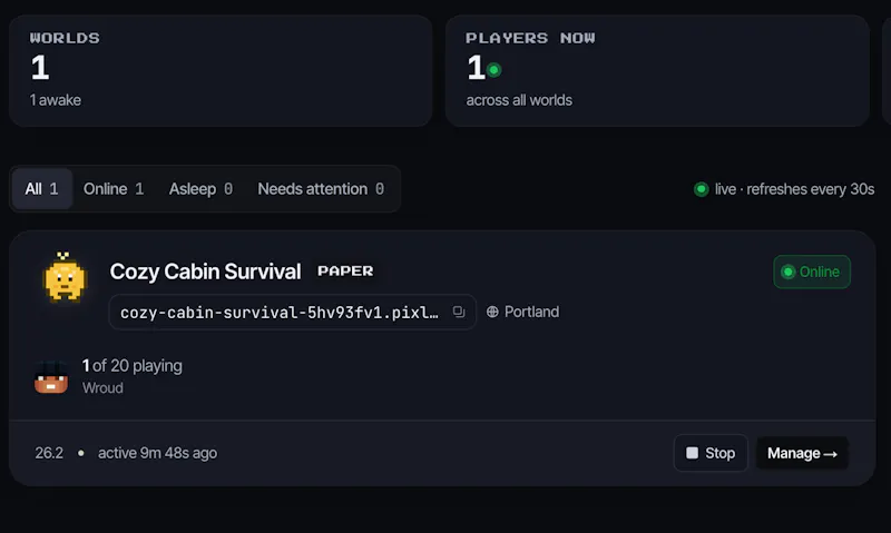 Pixly.gg screenshot 4