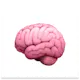 Developer’s Digital Second Brain