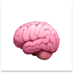 Developer’s Digital Second Brain logo