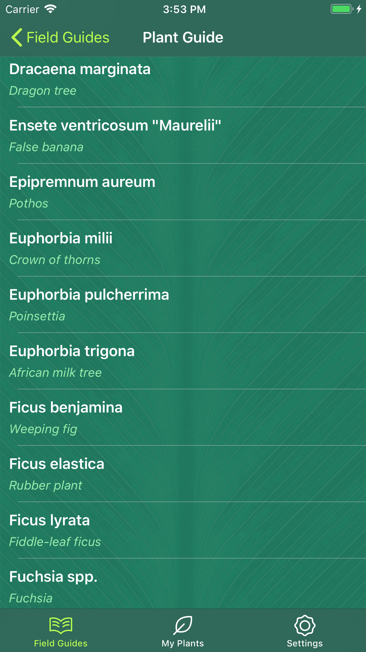 Sprouted gallery image